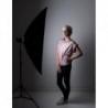 Lastolite softbox strip 30 x 120cm