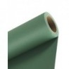 Lastolite fundal Grass Green 2.75 x 11m