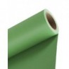 Lastolite fundal Leaf Green 2.75 x 11m