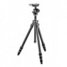 Gitzo Traveler carbon serie 2 cu cap bila