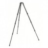 Trepied Systematic Gitzo GT2542S