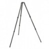 Trepied Systematic Gitzo GT3532S